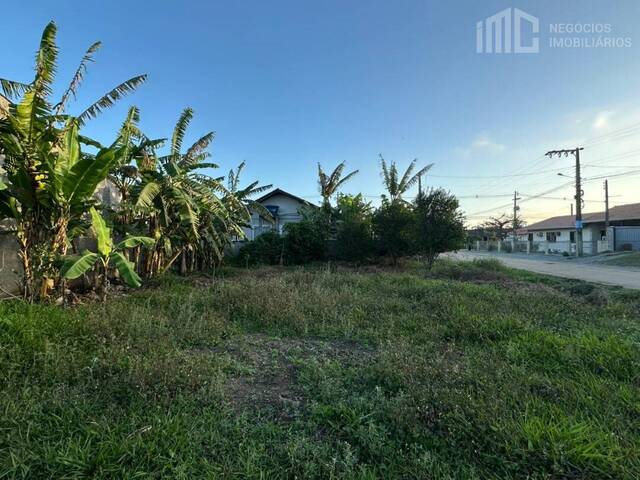 #2050 - Terreno para Venda em Balneário Barra do Sul - SC - 3