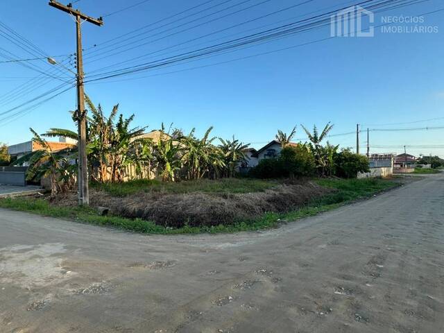#2050 - Terreno para Venda em Balneário Barra do Sul - SC - 1