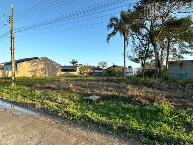 #2051 - Terreno para Venda em Balneário Barra do Sul - SC - 2
