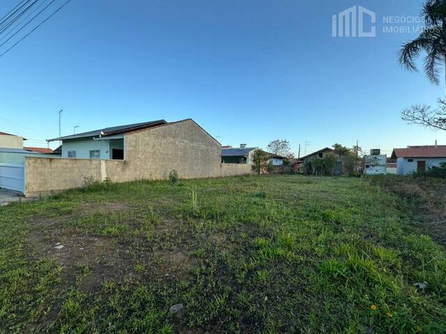#2049 - Terreno para Venda em Balneário Barra do Sul - SC - 3