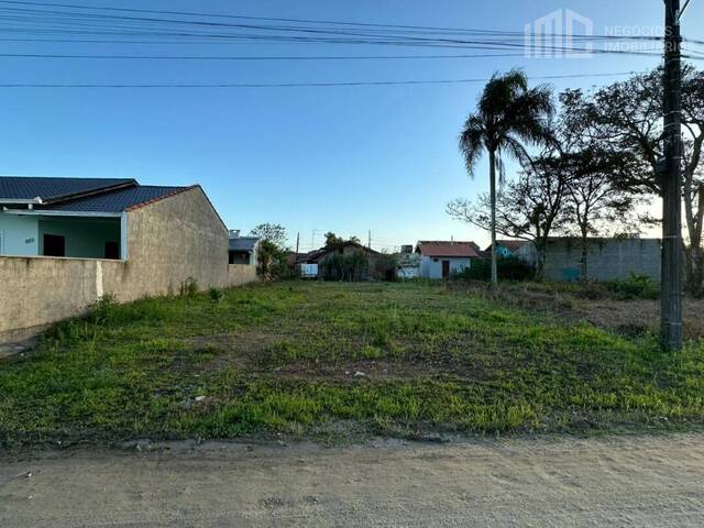 #2049 - Terreno para Venda em Balneário Barra do Sul - SC - 1