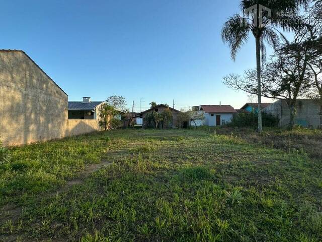 #2049 - Terreno para Venda em Balneário Barra do Sul - SC - 2