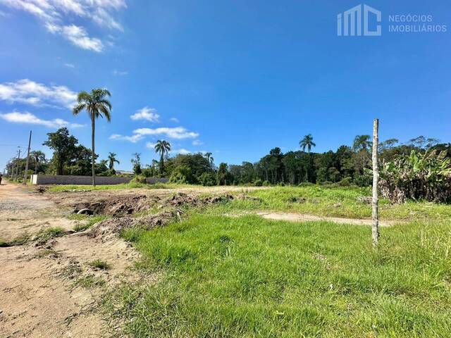 Terreno para Venda em Balneário Barra do Sul - 4