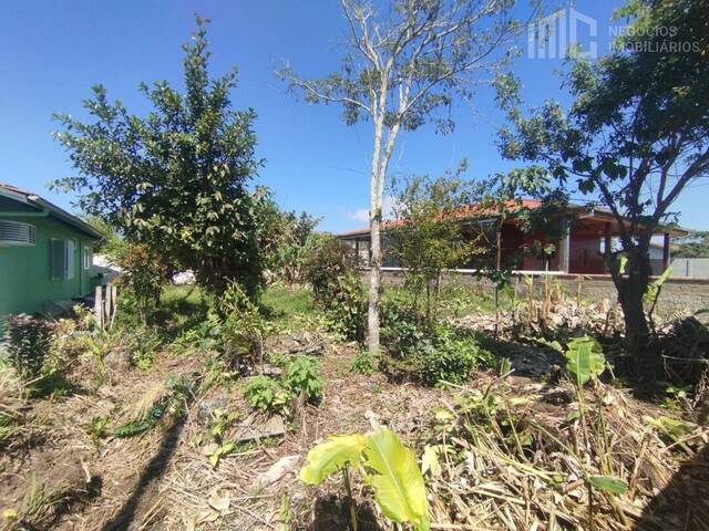#2059 - Terreno para Venda em Balneário Barra do Sul - SC - 2