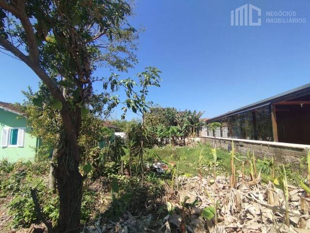#2059 - Terreno para Venda em Balneário Barra do Sul - SC - 3