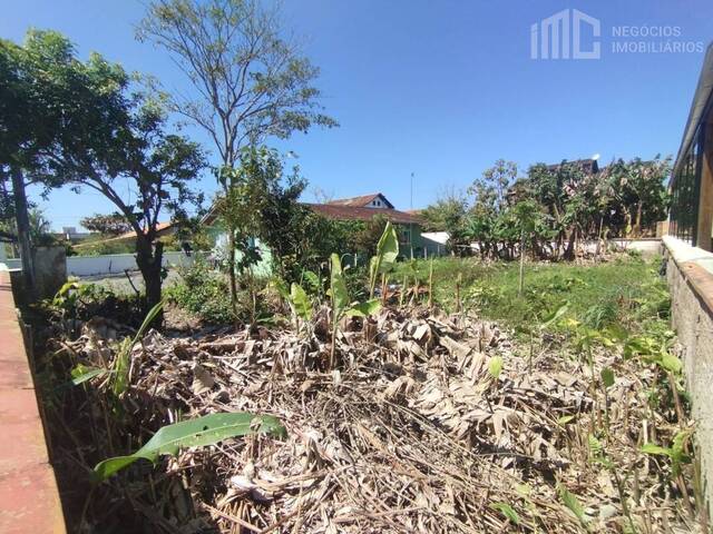 Terreno para Venda em Balneário Barra do Sul - 4
