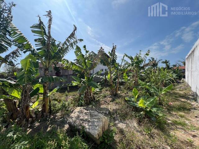 #2063 - Terreno para Venda em Balneário Barra do Sul - SC - 2