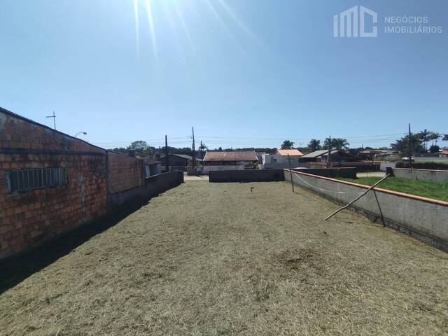 #2026 - Terreno para Venda em Balneário Barra do Sul - SC - 1