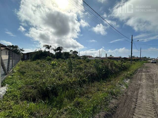 #2068 - Terreno para Venda em Balneário Barra do Sul - SC - 3