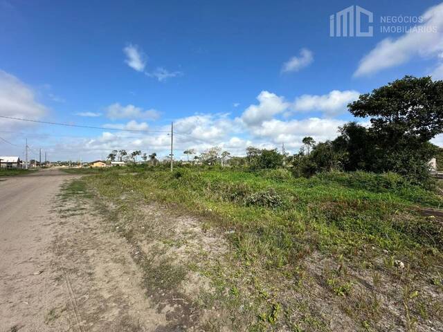 Terreno para Venda em Balneário Barra do Sul - 4