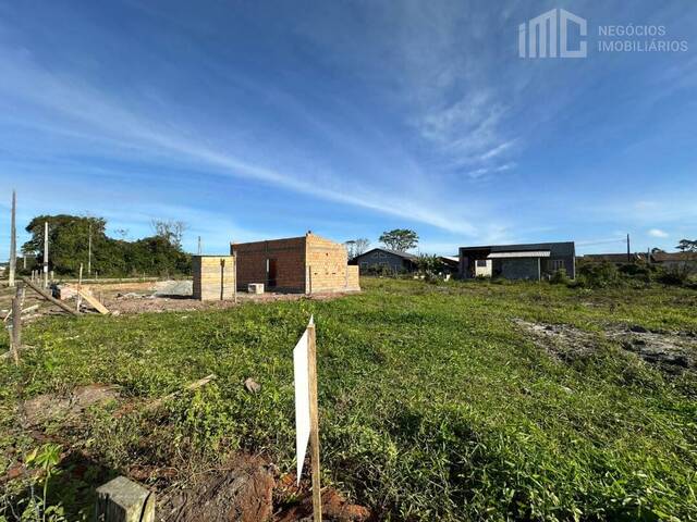 #2072 - Terreno para Venda em Balneário Barra do Sul - SC - 2
