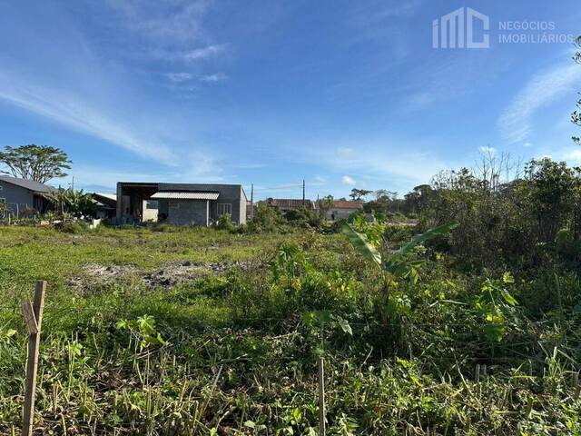 #2073 - Terreno para Venda em Balneário Barra do Sul - SC - 1