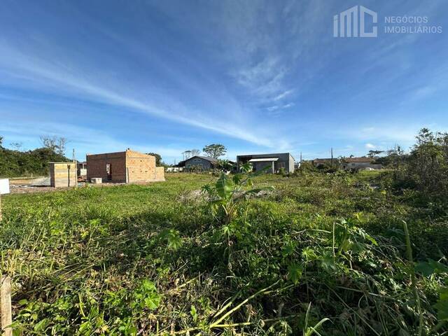 #2073 - Terreno para Venda em Balneário Barra do Sul - SC - 3