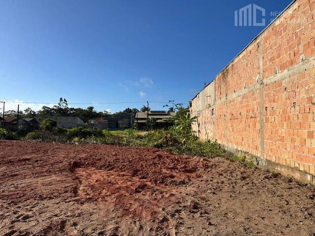 #2078 - Terreno para Venda em Balneário Barra do Sul - SC - 2