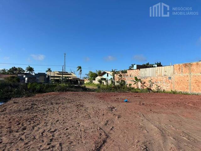 #2079 - Terreno para Venda em Balneário Barra do Sul - SC - 2