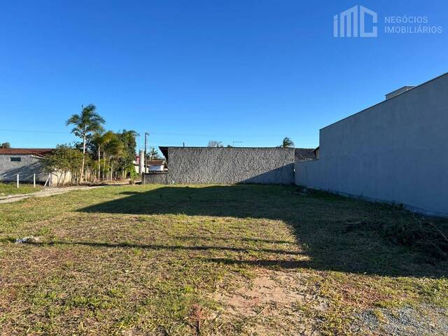 #2086 - Terreno para Venda em Balneário Barra do Sul - SC - 3