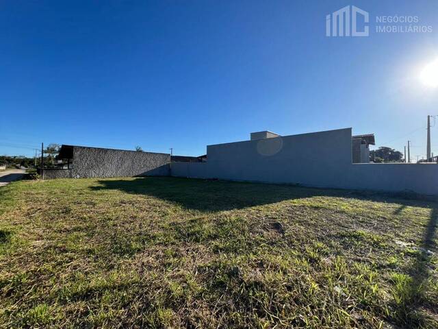 #2086 - Terreno para Venda em Balneário Barra do Sul - SC - 1