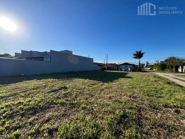 #2086 - Terreno para Venda em Balneário Barra do Sul - SC - 2