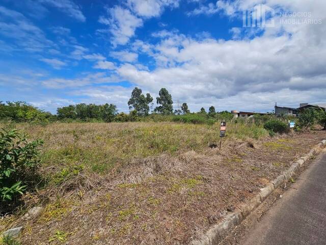 #0953 - Terreno para Venda em Araquari - SC - 3