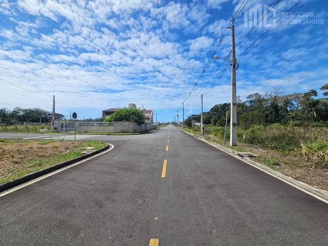 Terreno para Venda em Araquari - 4