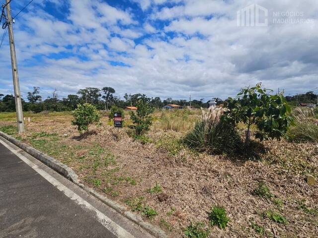 #0981 - Terreno para Venda em Araquari - SC - 3