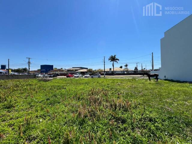#2089 - Área para Venda em Balneário Barra do Sul - SC - 2