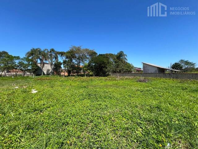 #2089 - Área para Venda em Balneário Barra do Sul - SC - 3