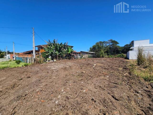 Terreno para Venda em Balneário Barra do Sul - 4