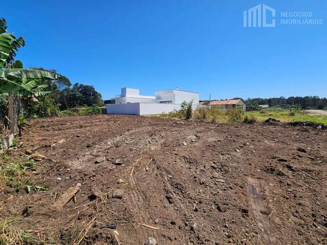 Terreno para Venda em Balneário Barra do Sul - 5