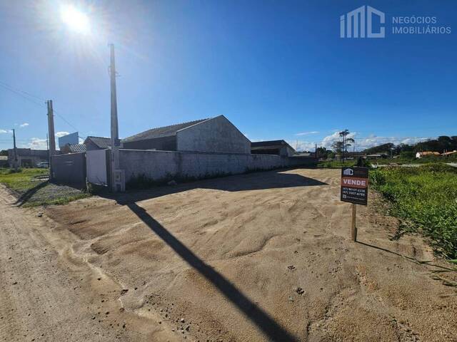 #2093 - Terreno para Venda em Balneário Barra do Sul - SC - 3