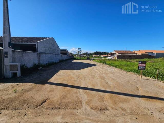 #2093 - Terreno para Venda em Balneário Barra do Sul - SC - 2