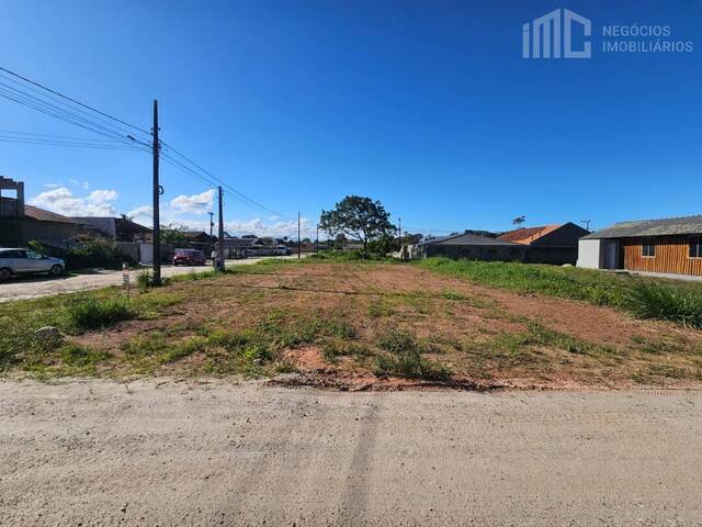 #2094 - Terreno para Venda em Balneário Barra do Sul - SC - 3