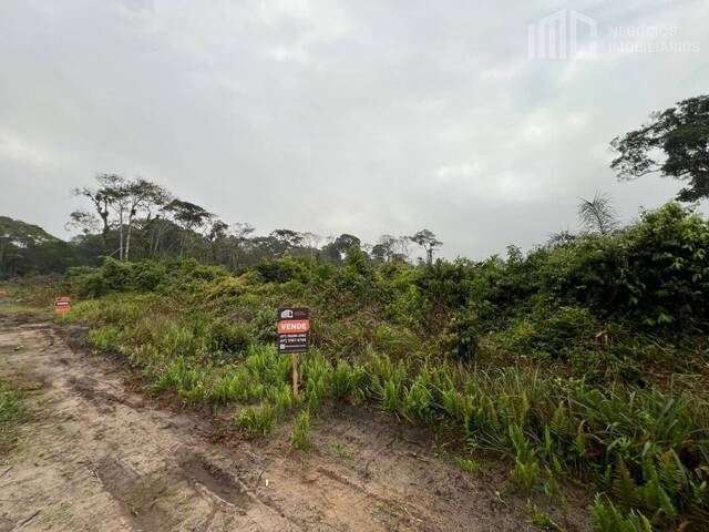 Terreno para Venda em Balneário Barra do Sul - 4