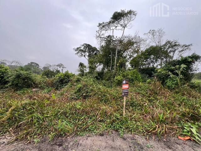 Terreno para Venda em Balneário Barra do Sul - 1