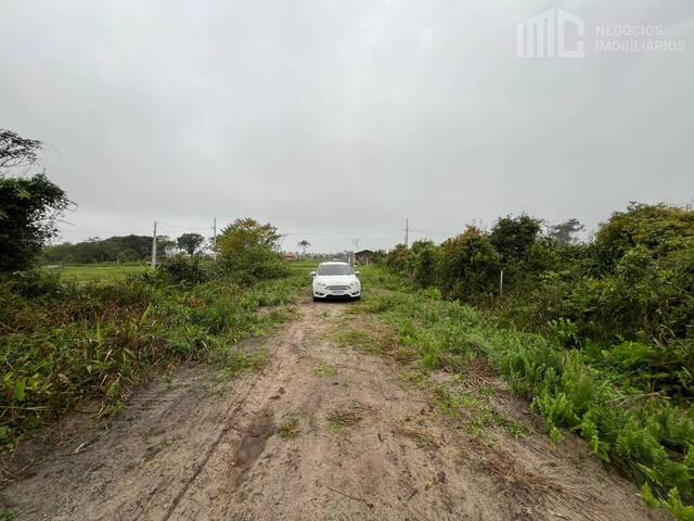 Terreno para Venda em Balneário Barra do Sul - 5