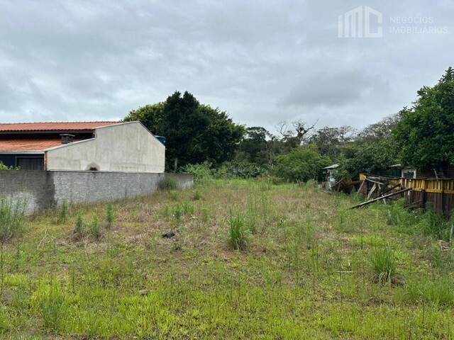 #2115 - Terreno para Venda em Balneário Barra do Sul - SC - 1