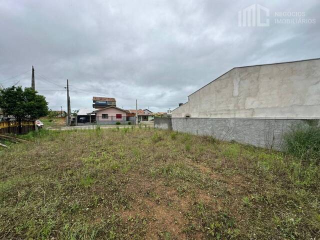#2115 - Terreno para Venda em Balneário Barra do Sul - SC - 2