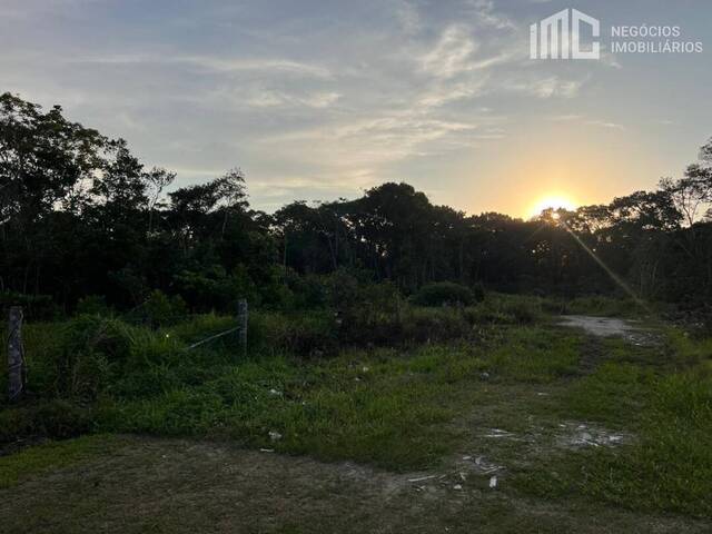 #2116 - Terreno para Venda em Balneário Barra do Sul - SC - 2