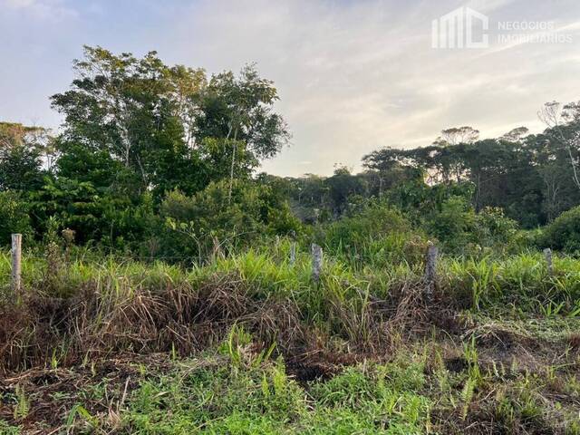 #2116 - Terreno para Venda em Balneário Barra do Sul - SC - 3