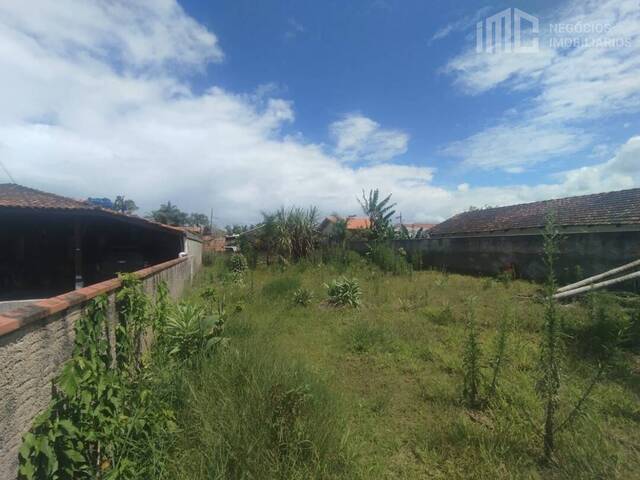 Terreno para Venda em Balneário Barra do Sul - 3