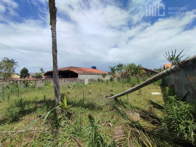 Terreno para Venda em Balneário Barra do Sul - 4