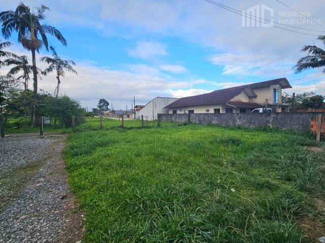 #2129 - Terreno para Venda em Balneário Barra do Sul - SC - 3