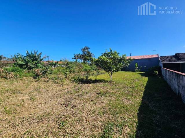 Terreno para Venda em Balneário Barra do Sul - 2