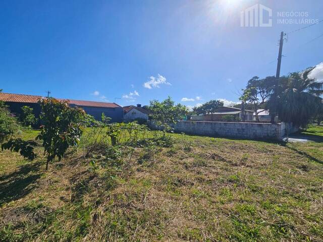 Terreno para Venda em Balneário Barra do Sul - 3