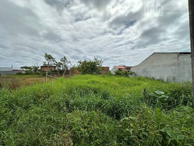 Terreno para Venda em Balneário Barra do Sul - 3