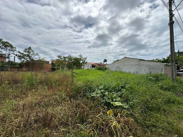Venda em Salinas - Balneário Barra do Sul