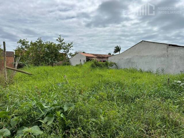 Terreno para Venda em Balneário Barra do Sul - 5