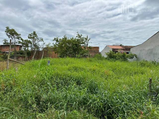 Terreno para Venda em Balneário Barra do Sul - 4