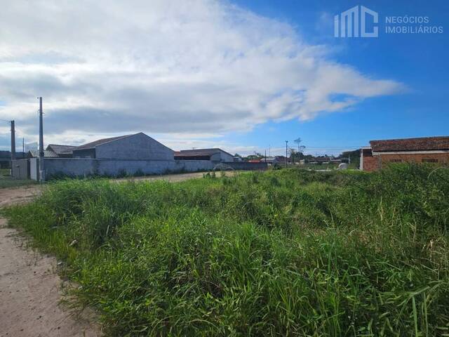 Terreno para Venda em Balneário Barra do Sul - 3
