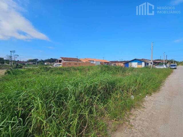 Terreno para Venda em Balneário Barra do Sul - 4